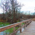 Discover the Wonders of Monroe and West Monroe, Louisiana